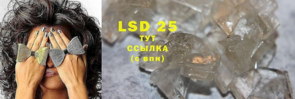 индика Инсар