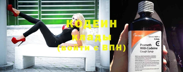 индика Инсар