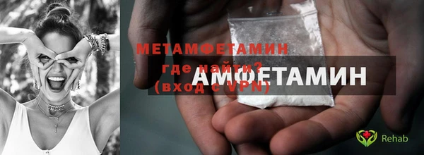 индика Инсар