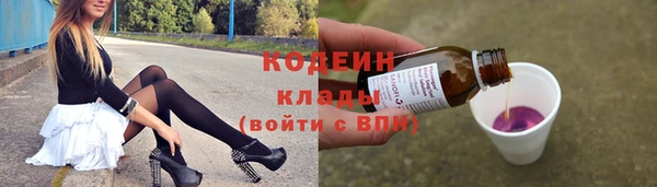 индика Инсар