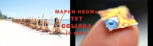 индика Инсар