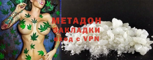 индика Инсар