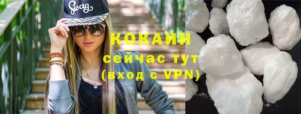 индика Инсар