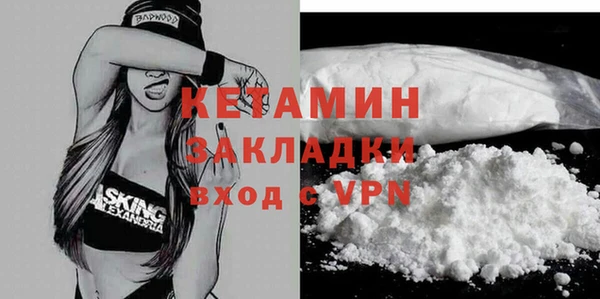 индика Инсар