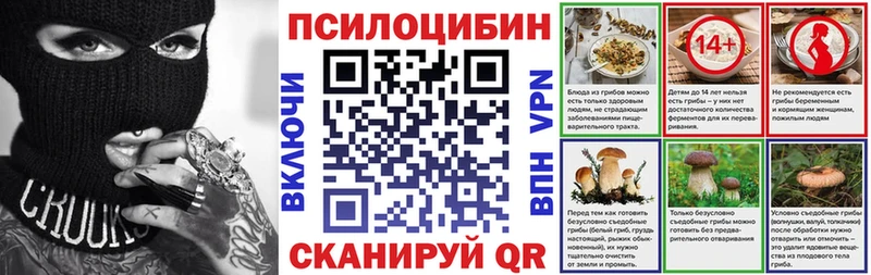 Псилоцибиновые грибы мицелий  KRAKEN зеркало  Михайлов 